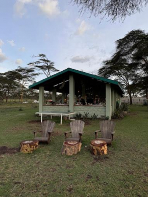 Sanctuary farm Naivasha